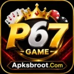 P67 Game