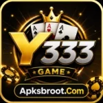 Y333 Game